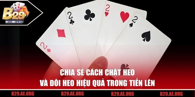 Cách Chặt Heo